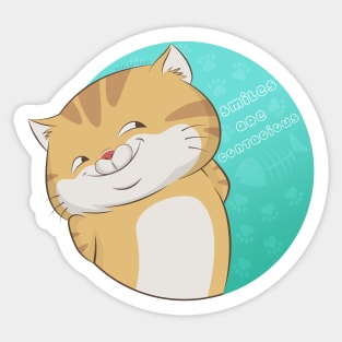 Devious smile Cat - Sticker Sticker